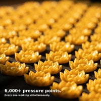 DeskRx Acupressure Mat & Pillow Set